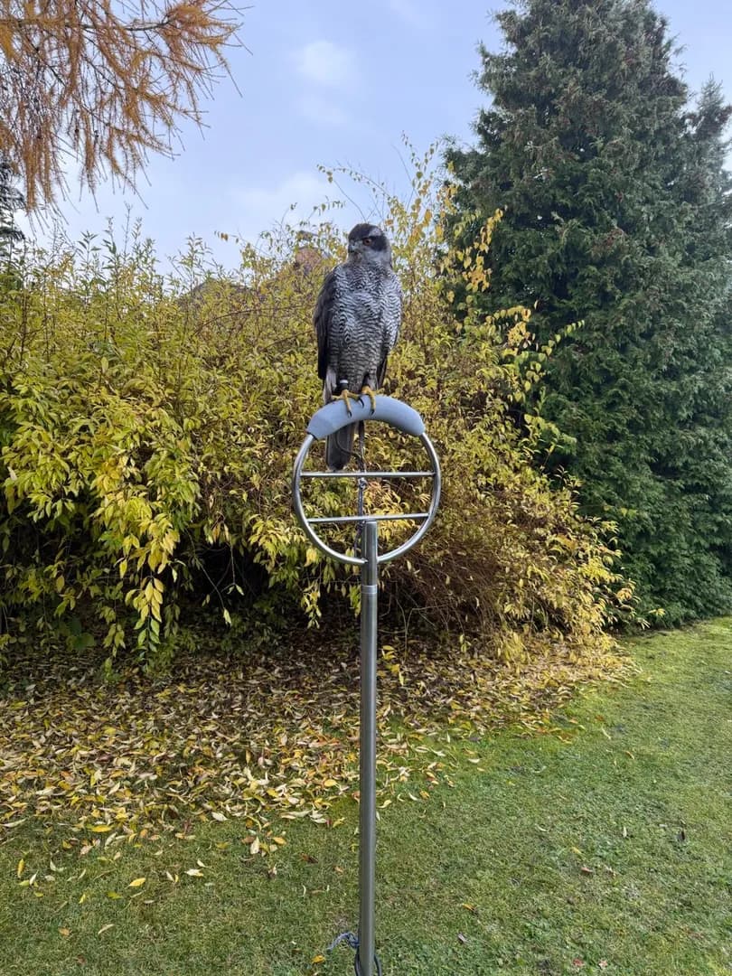 Cestovní oblouk thumbnail 3